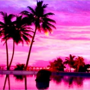 Meet your Posher, Esti